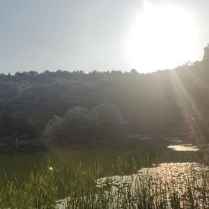 埋伏（prod by Furyl）