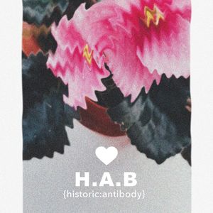 H.A.B
