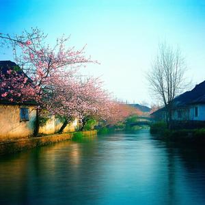 On the Steps Where the Heron Stands Reprise