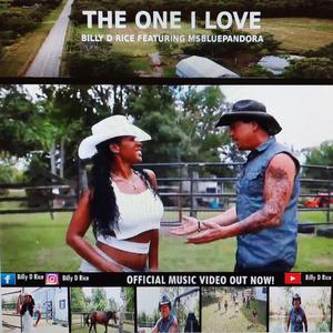 The One I Love