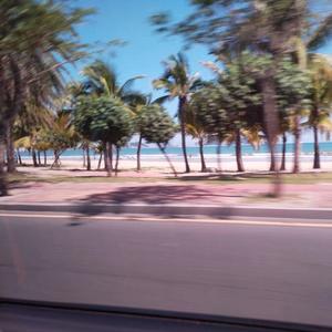 我走时是下雪天