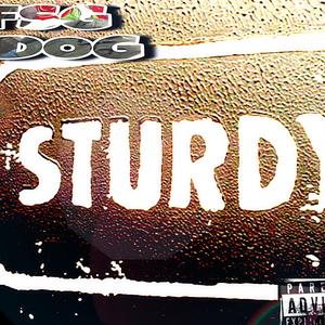 STURDY