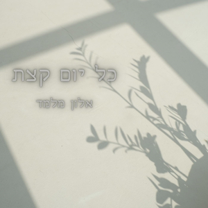 כל יום קצת