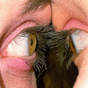 Інода болять ландшафти (Live)