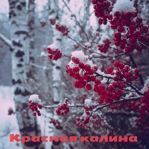 Красная калина