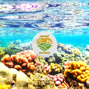 Thriftless Thunder Slumber