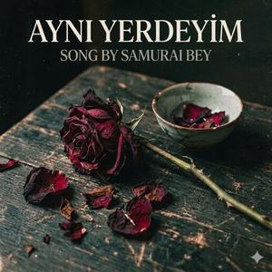 AYNI YERDEYIM