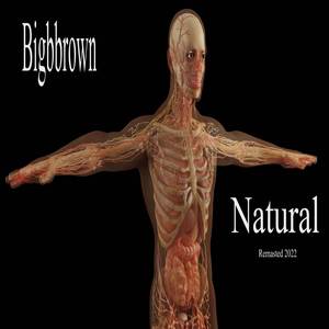 Armony of the King (Remastered 2022)