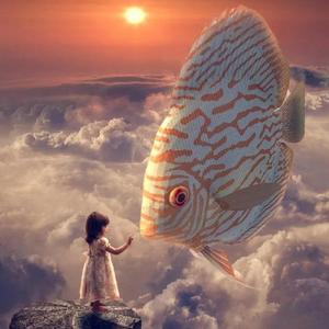 鱼忘了歌名 demo