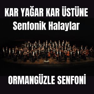 Kar Yağar Kar Üstüne