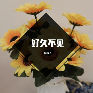 好久不见（走嗨舞曲 A调旋律）