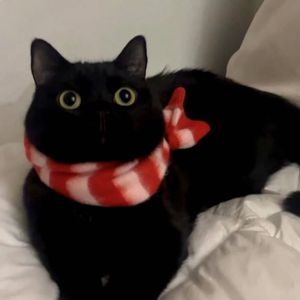 4luv（Prod.Gr33nart Beats）