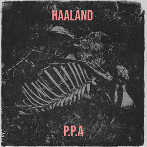 Haaland