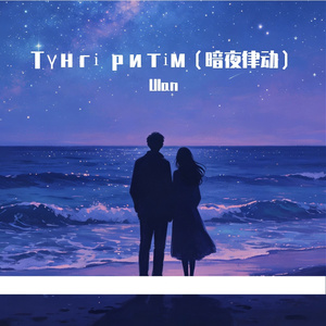 Түнгі ритім（暗夜律动）