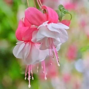 雨天-留什么给你