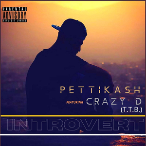 Introvert (feat. Crazy D)