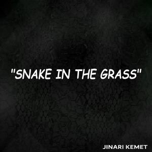 Snake In The Grass