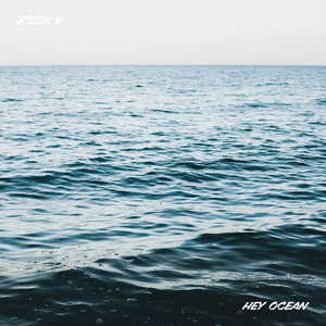 Hey Ocean