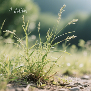 野草的程序