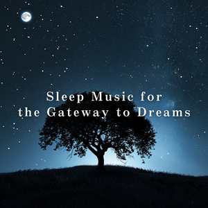 Tender Path to Stillness