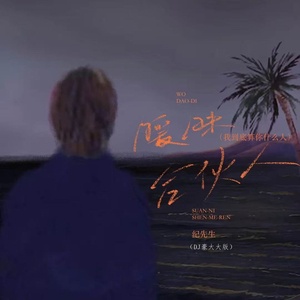 暧昧合伙人 (DJ豪大大版)