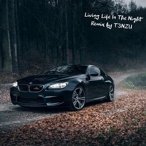 Living Life In The Night (remix) (remix)