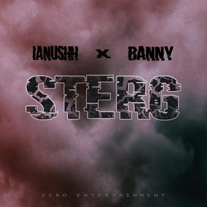 Sterg (feat. Banny)