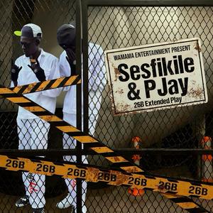 Shamkweni