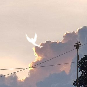 一颗种子的春天