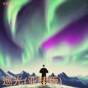 巡光