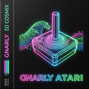 GNARLY ATARI