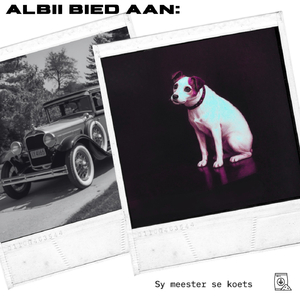 Dom Flippen Liedjie (Dans Paartie Mix)