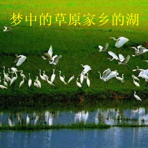 梦中的草原家乡的湖