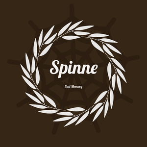 Spinne