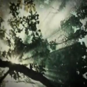 Stories to tell, Rio de Janeiro, 2015