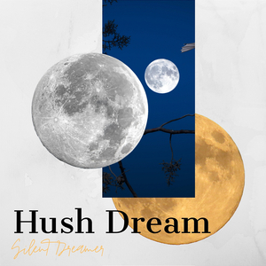 Hush Dream (Night)