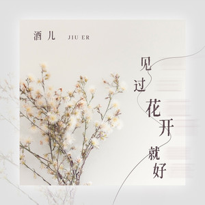 见过花开就好 (DJ版)
