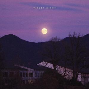 violet night