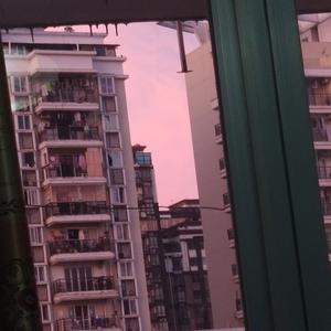 new wave beat sunset