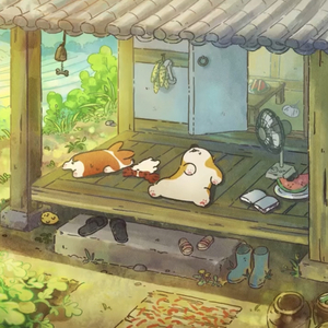 盛夏的风，盛夏的光