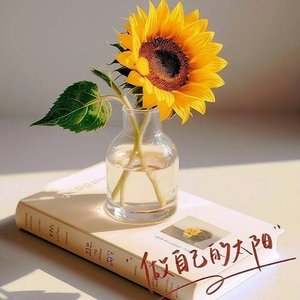 再见亦是陌生人 伴奏