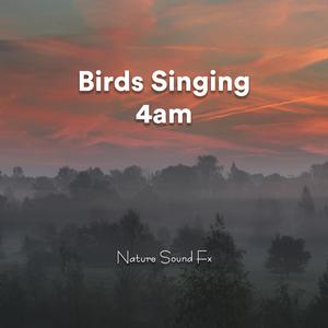 4am Birds Singing Pt. 52