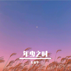 你说在青春里我路过了你 demo