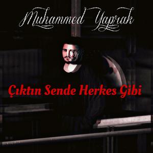 Çıktın Sende Herkes Gibi