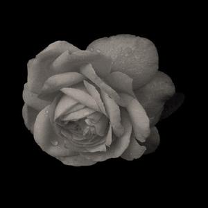 自己走(Prod by Purple-D)