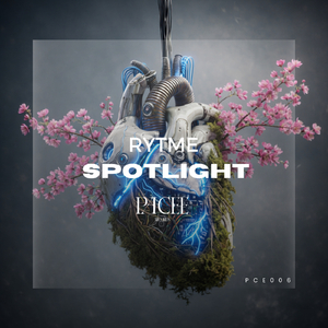 Spotlight (Radio Edit)