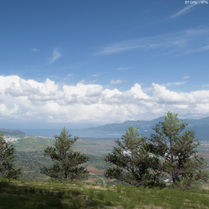 时光之翼：遗落的篇章