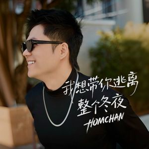 我想带你逃离整个冬夜