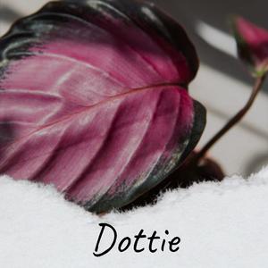Dottie