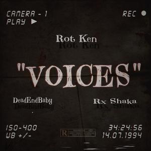 Voices (feat. Rot Ken & DeadEndBaby)